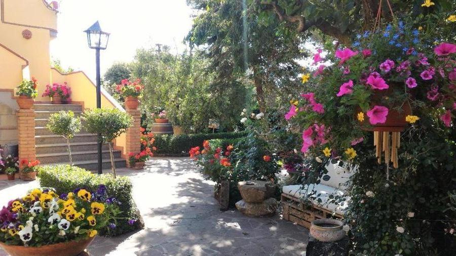 Bed And Breakfast Val Di Lupa Castellina Marittima Ngoại thất bức ảnh