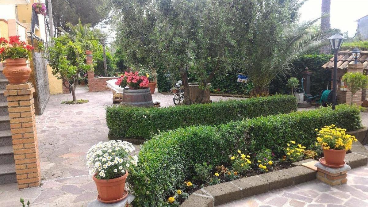 Bed And Breakfast Val Di Lupa Castellina Marittima Ngoại thất bức ảnh